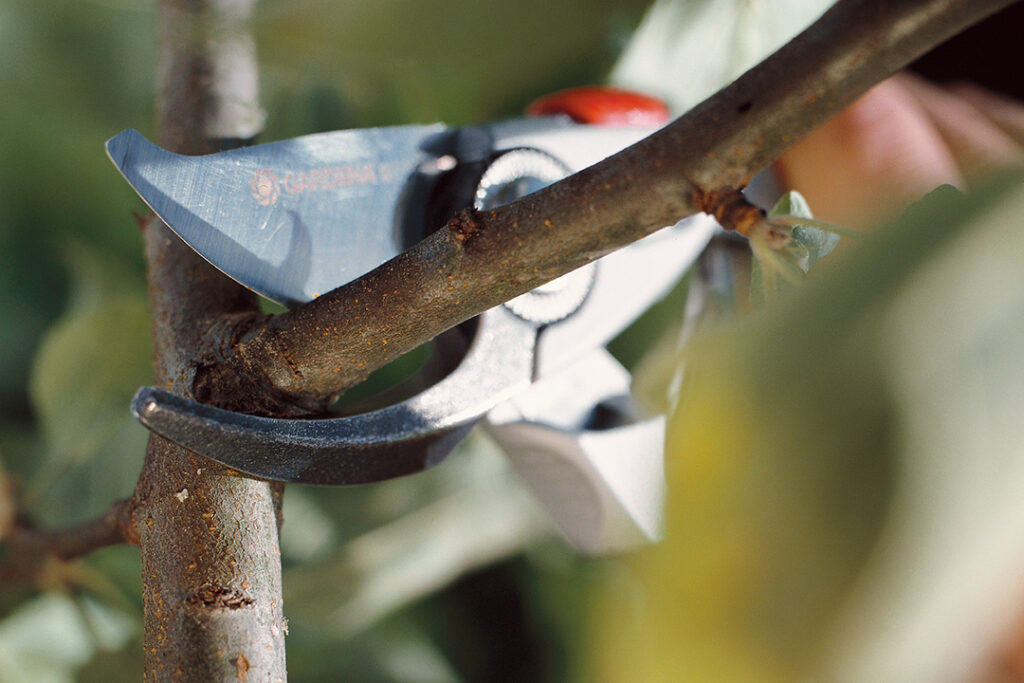 A close-up of a pair of GARDENA secateurs cutting through a small tree branch.