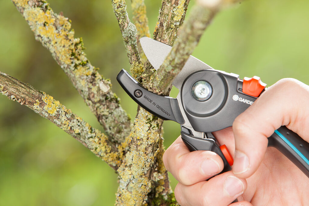 A pair of GARDENA secateurs cutting through a thick branch of a fruit tree.