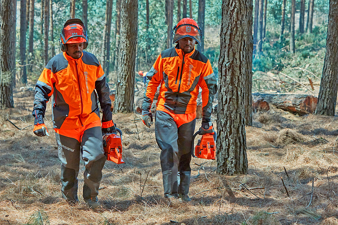 A forester wearing safety gear cuts the branches off a fallen tree with a Husqvarna chainsaw