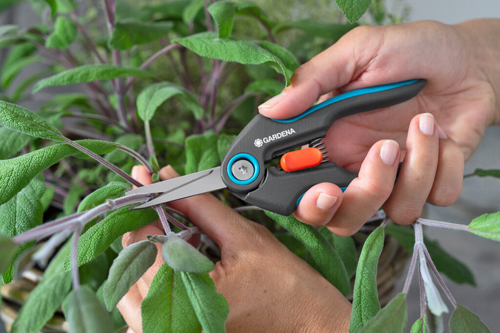 GARDENA FreshCut scissors