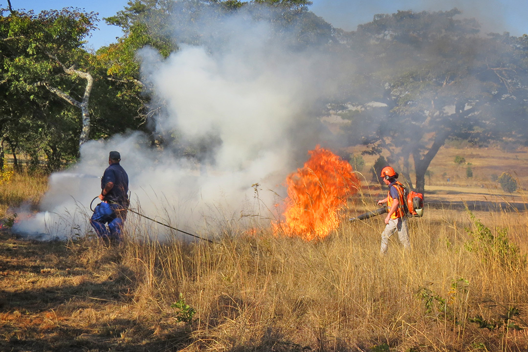 Two men fight a fire using Husqvarna and Hunter firefighting equipment in Zimbabwe