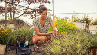 A young woman tending to her lavender bush under a spring sky