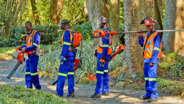 A team of workers holding Husqvarna battery equipment in a lush garden.