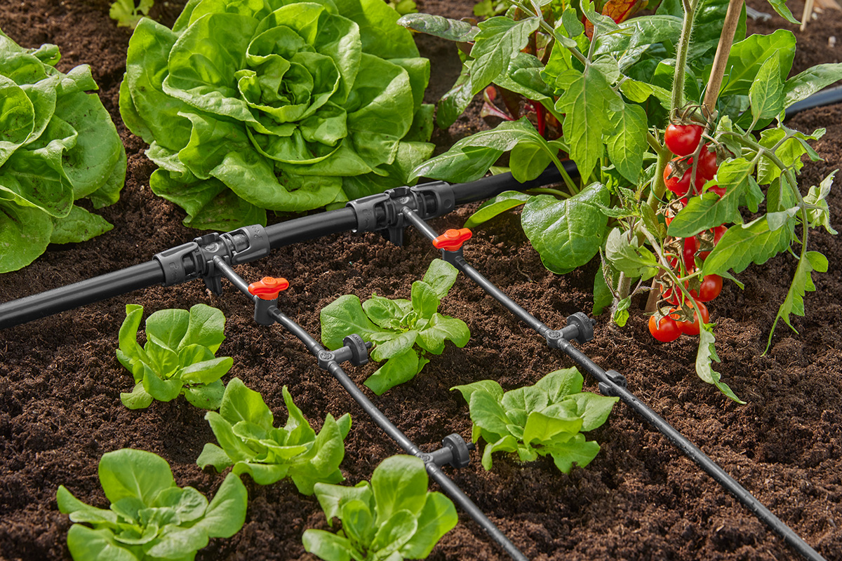 GARDENA Micro Drip System in a vegetable garden watering lettuce.